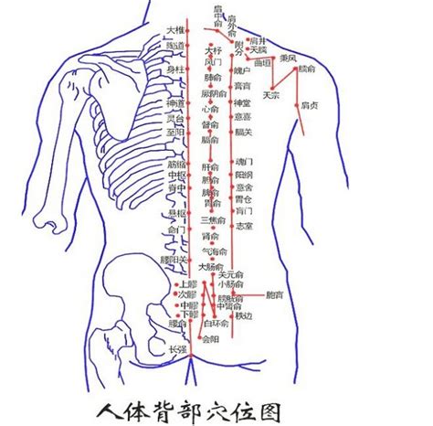 右後背有痣|背部有痣图解大全 背部有痣的人看命运